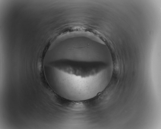 X0000089730715200707051739