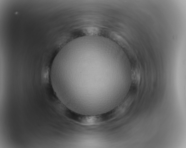X0000089730717200707051739