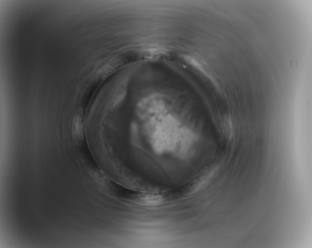 X0000089730719200707051739