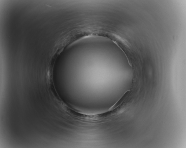 X0000089730720200707051739