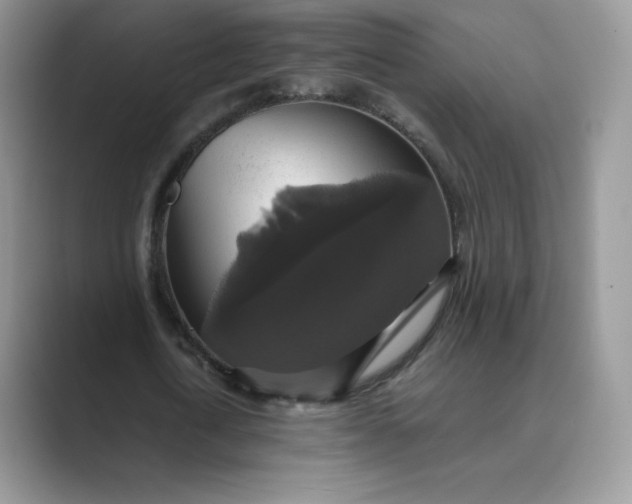 X0000089730722200707051738