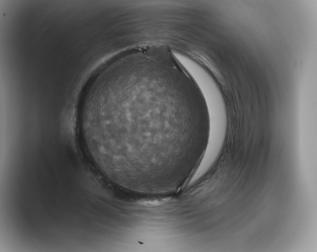 X0000089730724200707051738