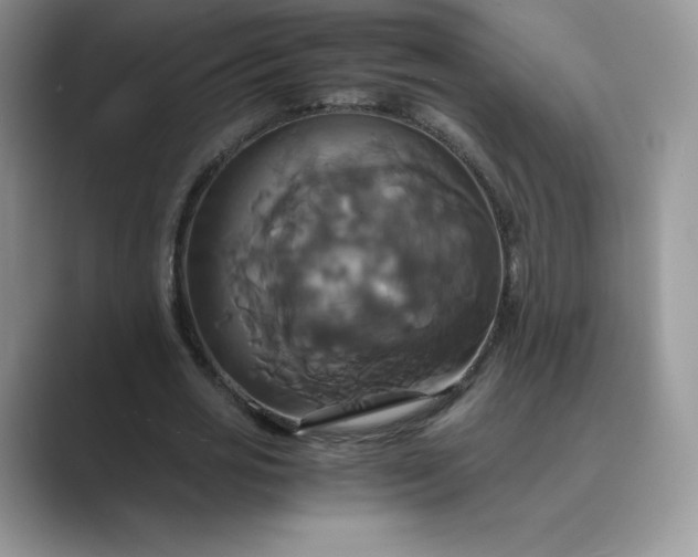 X0000089730725200707051738