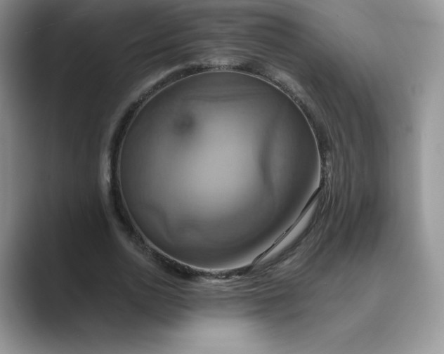 X0000089730726200707051738