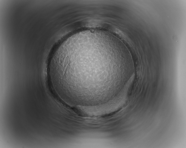 X0000089730727200707051738