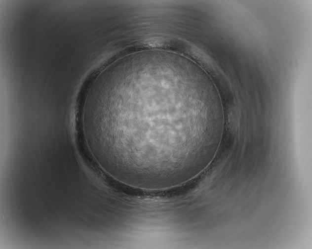 X0000089730730200707051738