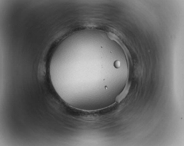 X0000089730731200707051738