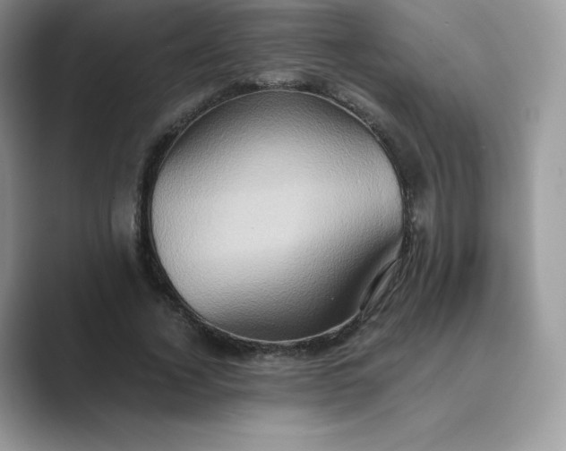 X0000089730732200707051738