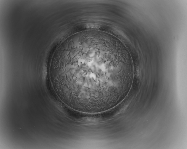 X0000089730733200707051738