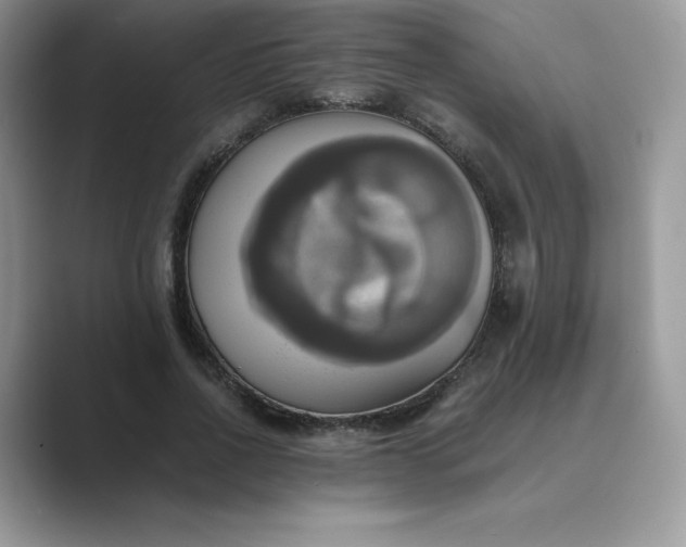 X0000089730734200707051738