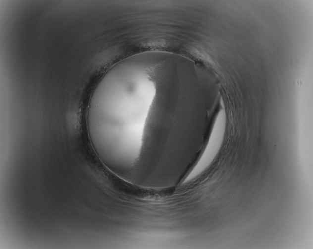 X0000089730735200707051738