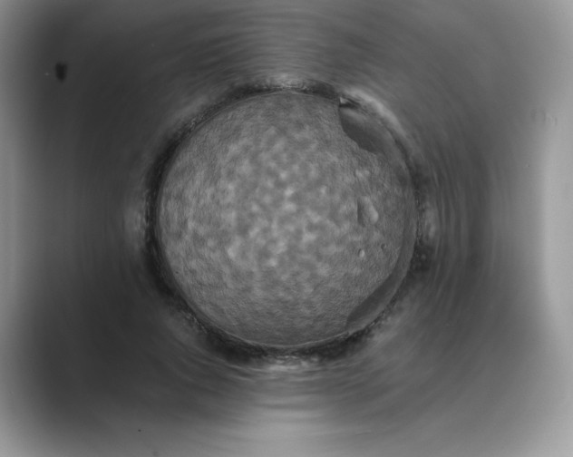 X0000089730736200707051738