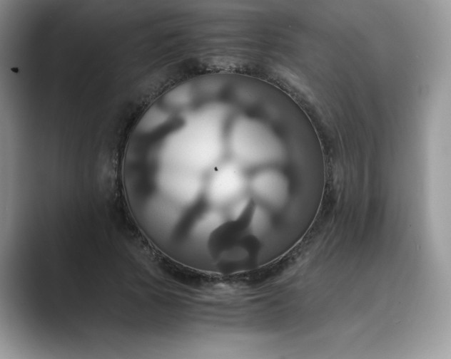 X0000089730737200707051738