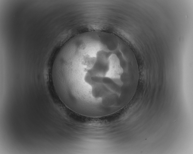 X0000089730738200707051738