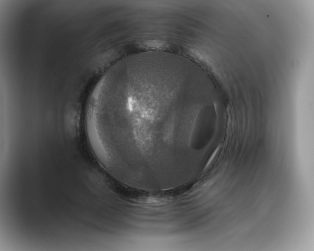 X0000089730739200707051738