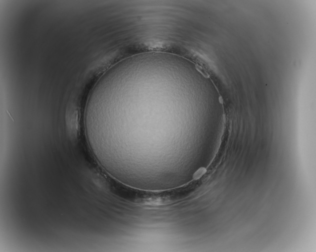X0000089730740200707051738