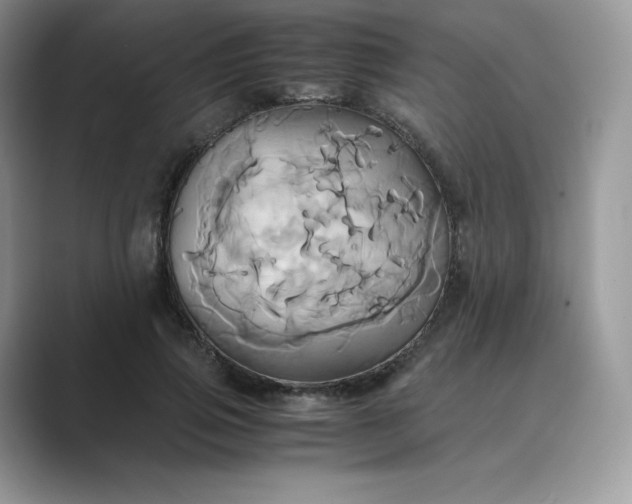 X0000089730741200707051738