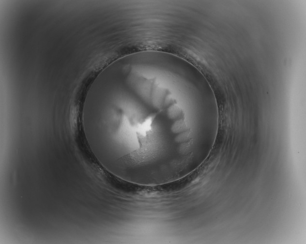 X0000089730742200707051738