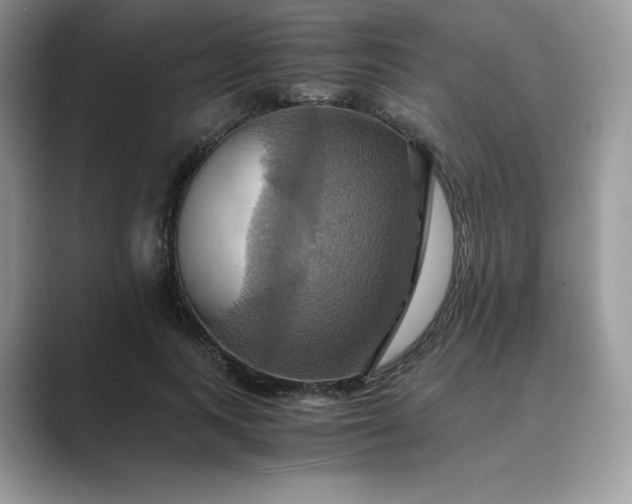X0000089730743200707051738