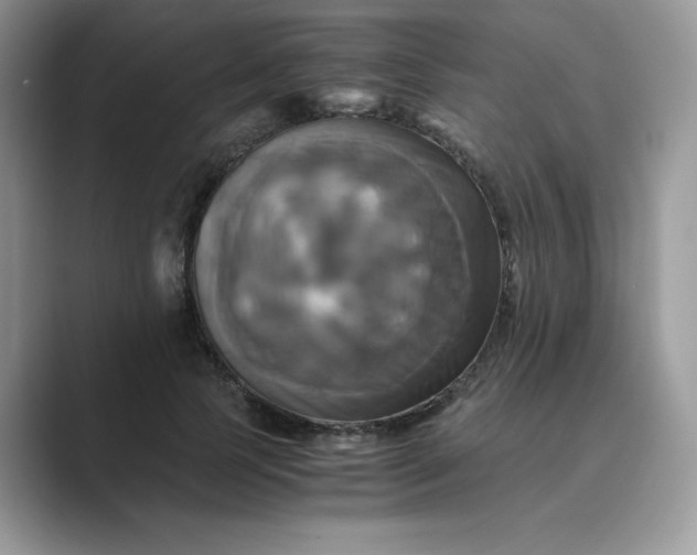 X0000089730745200707051738