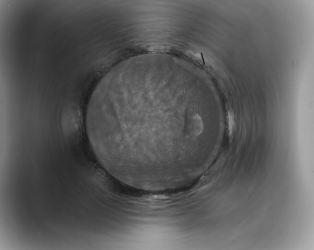 X0000089730748200707051738
