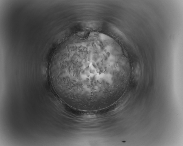 X0000089730749200707051738