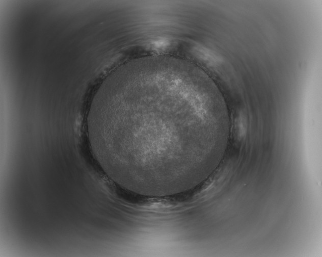 X0000089730750200707051738