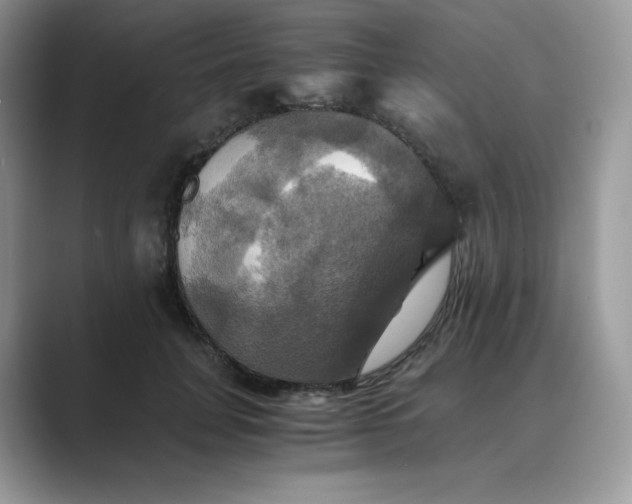 X0000089730751200707051738