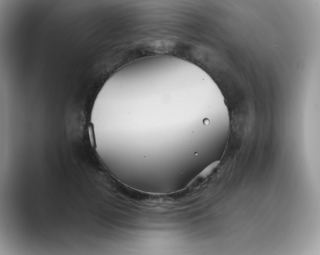X0000089730752200707051739