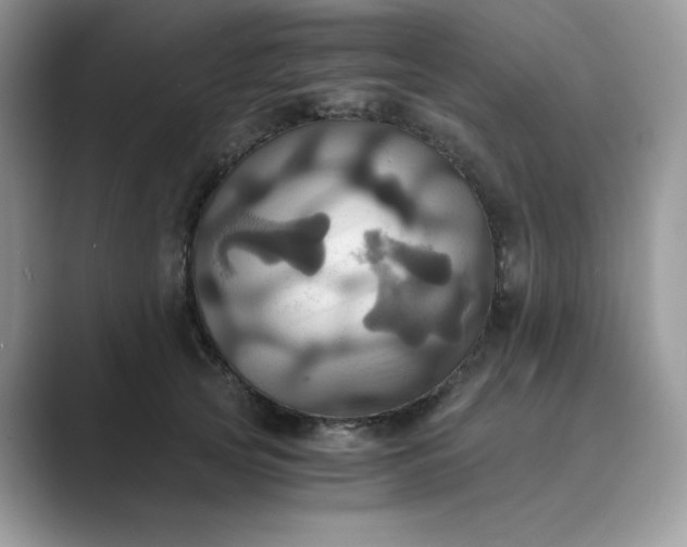 X0000089730753200707051739
