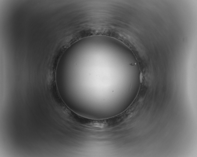 X0000089730756200707051739