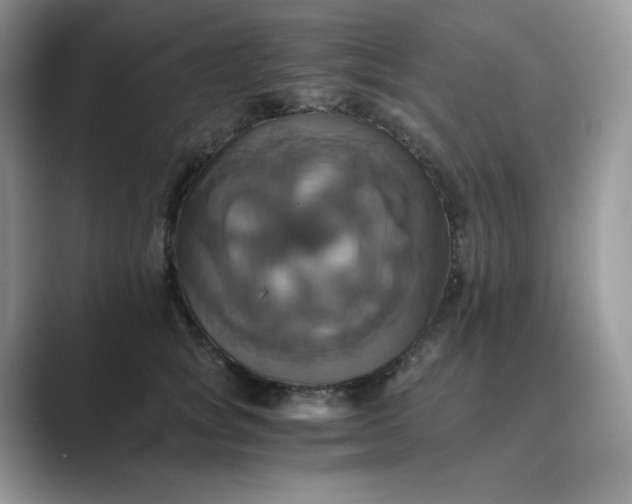 X0000089730757200707051739