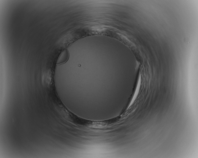 X0000089730758200707051739