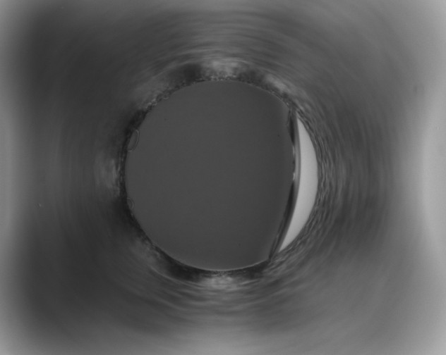 X0000089730759200707051739