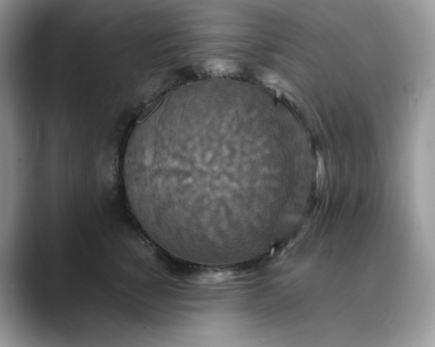 X0000089730760200707051739