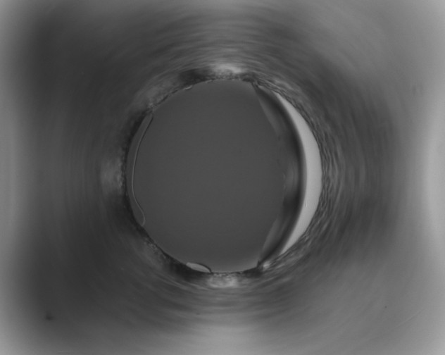 X0000089730762200707051739