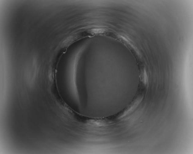 X0000089730763200707051739