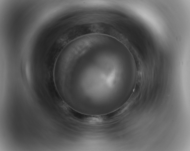 X0000089730765200707051739