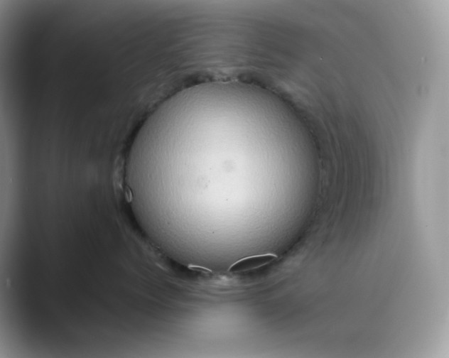X0000089730768200707051739