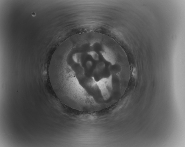 X0000089730771200707051738