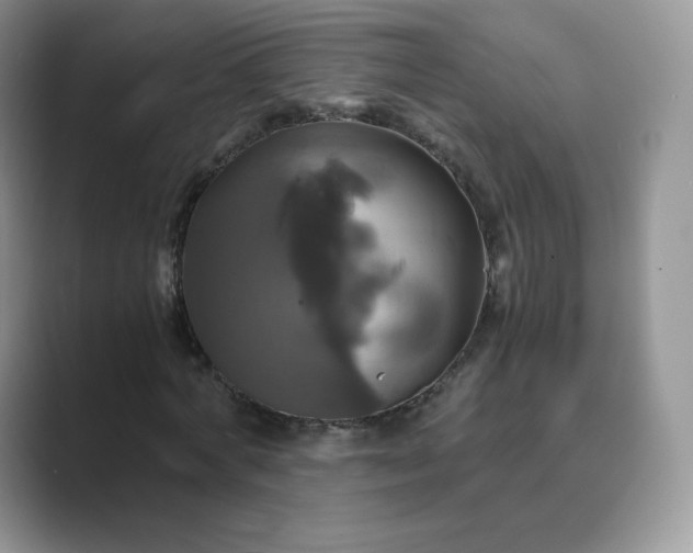 X0000089730772200707051738