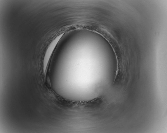 X0000089730773200707051738