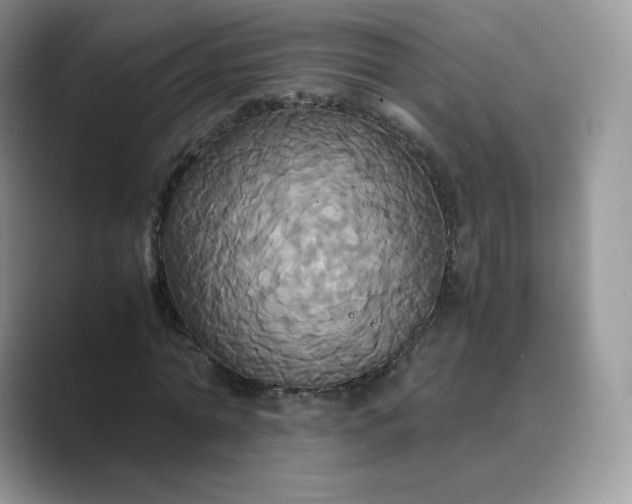X0000089730774200707051738