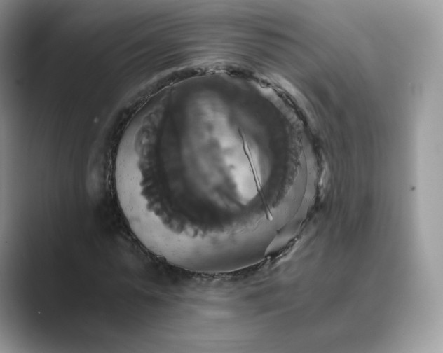 X0000089730775200707051738