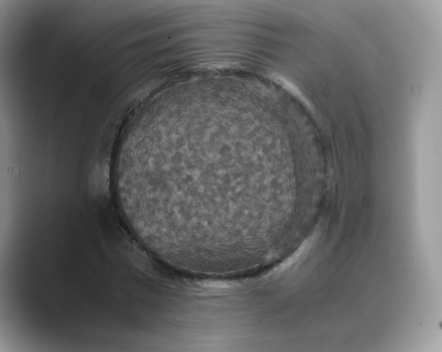 X0000089730777200707051738
