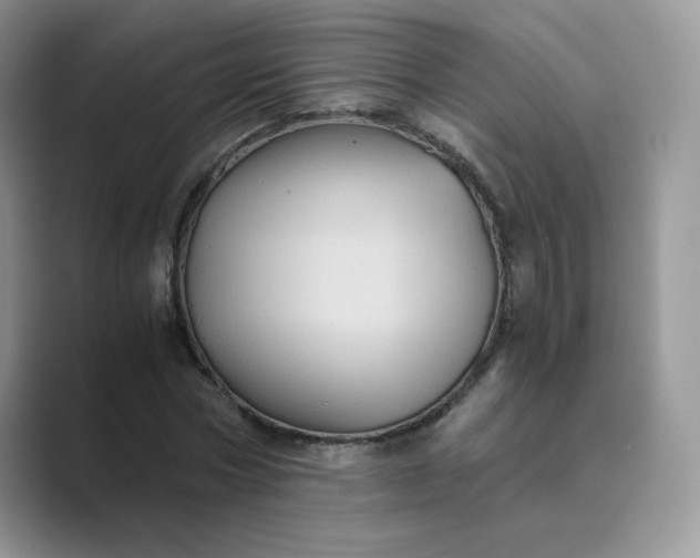 X0000089730778200707051738