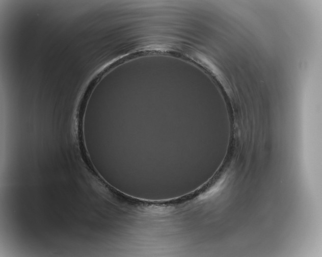 X0000089730779200707051738