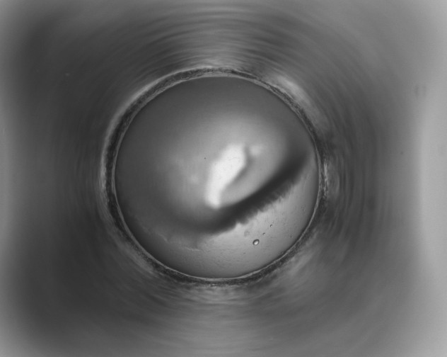 X0000089730780200707051738