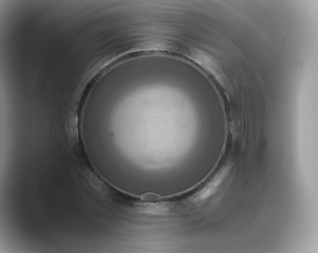 X0000089730781200707051738