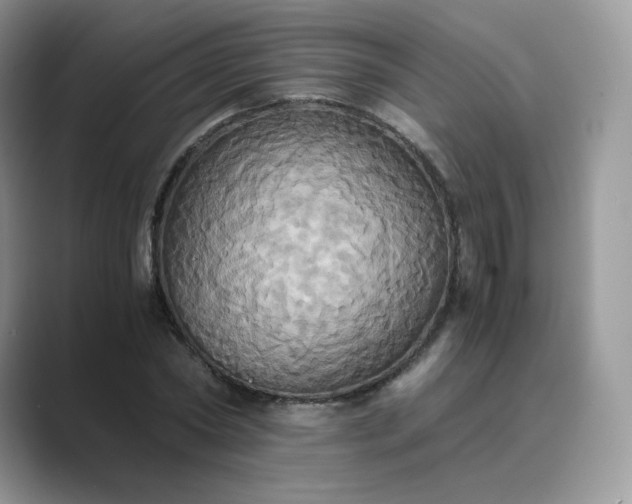 X0000089730782200707051738